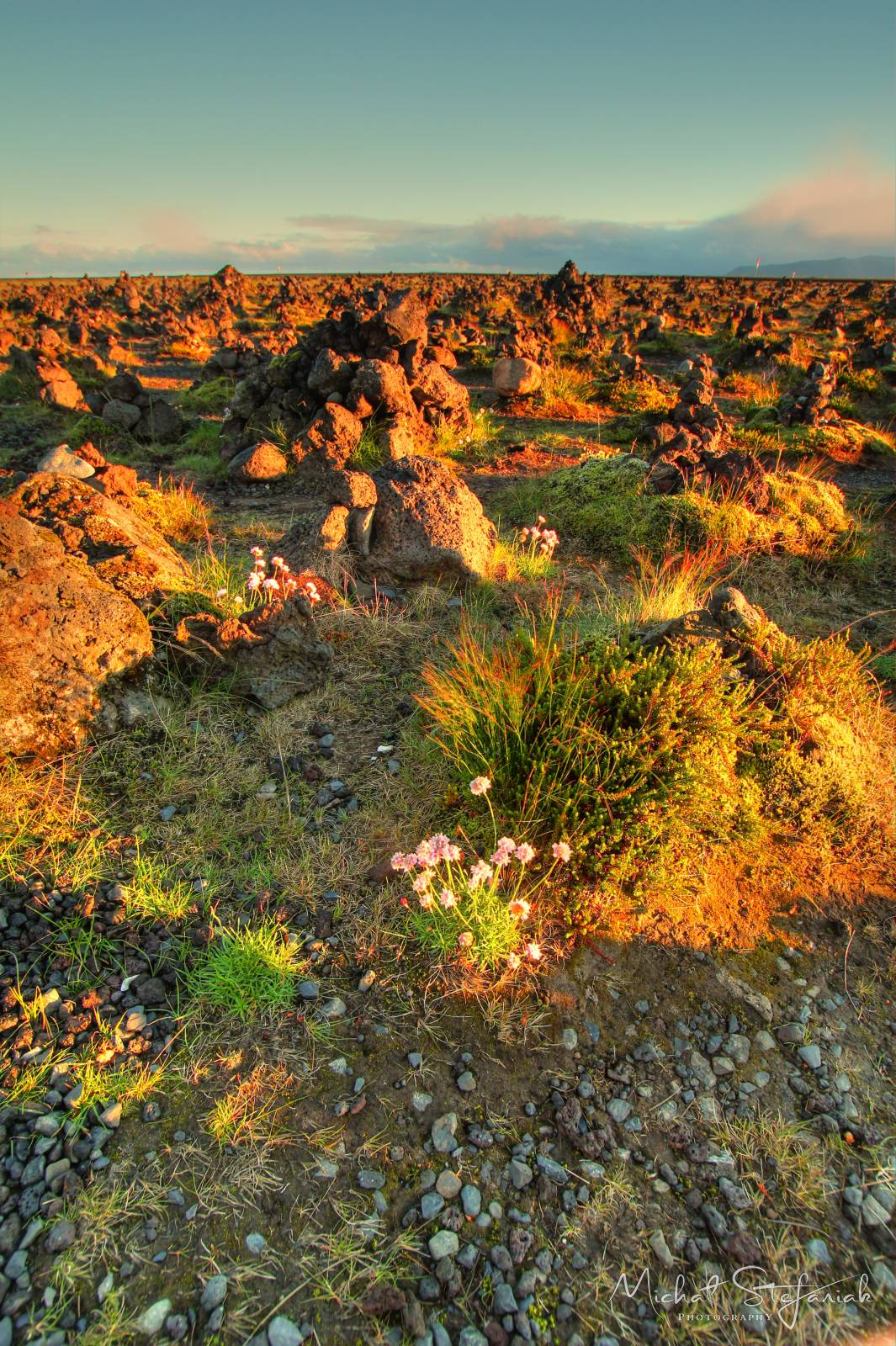 542 IMG 4561 2 3Enhancer